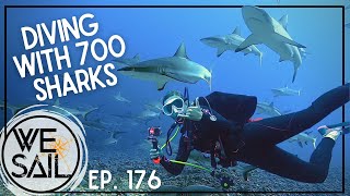 Diving with 700 Sharks at Fakarava South Pass  Episode 176 [upl. by Kora237]