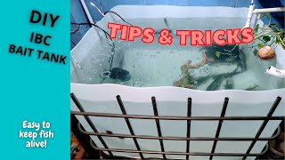 2024 DIY Bait Tank Tips amp Tricks Why This Setup Works Best [upl. by Henghold879]