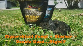 Ep1 Mycorrhizal Fungi  Biochar  Double GoodRight [upl. by Enelahs706]