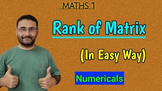 Rank of Matrix  Examples  In easy way  Maths [upl. by Aisatana]