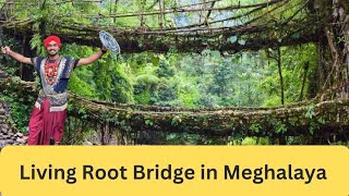 Living Root Bridge in Meghalaya [upl. by Pejsach965]