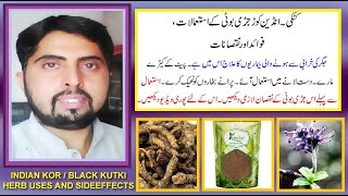 indian korblack kutki jaribooti kay fayday aor nuksan  picrorhiza kurroa benefits and sideeffects [upl. by Dnalerb411]