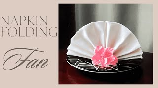 Napkin Folding Fan [upl. by Ttergram]