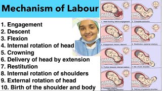 Mechanism of Labour  Events of Labour  10 Steps of Mechanism of Labour  Steps in Labour Hindi [upl. by Esenahs]