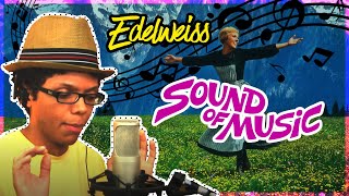 quotTHE SOUND OF MUSICquot  EDELWEISS  TAY ZONDAY [upl. by Edette]