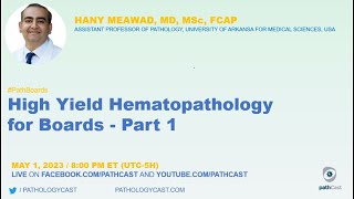 PATHBOARDS High Yield Hematopathology for Boards  Part 1 [upl. by Lasko]