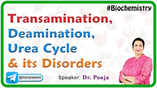 Transamination Deamination Urea cycle and its Disorders [upl. by Eannaj734]