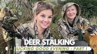 Roe buck stalking at the end of the rut with sarahmilesshooting Come hunting amp have fun with us [upl. by Benilda]