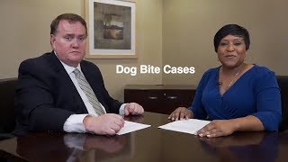 Information on Dog Bite Cases Personal Injury Attorney Illinois [upl. by Manville902]