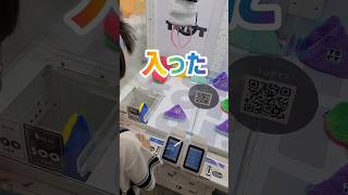 クレーンゲーム toft ポーチ ゲーセン ゲット チャレンジ れおくん shorts [upl. by Spancake]