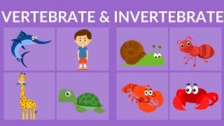 Vertebrate and Invertebrate animals  Video for Kids [upl. by Keg]