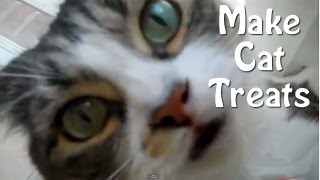 How To Make Cat Treats  Easy Homemade Recipe [upl. by Thurstan776]