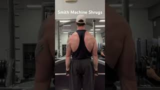 Smith Machine Shrugs backworkout trapworkout naturalbodybuilding bodybuilding [upl. by Dex48]