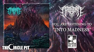 APOGEAN  Into Madness FULL EP STREAM Technical Death Metal  The Circle Pit [upl. by Lance]