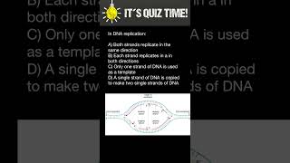 DNA Replication [upl. by Vally]