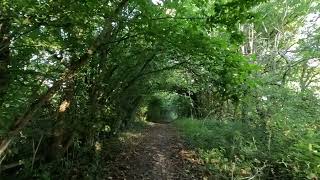 Chaldon Footpath 74 Caterham amp Warlingham Rights of Way [upl. by Starkey]