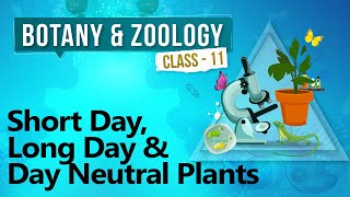 Short Day Long Day and Day Neutral Plants  Plant Growth and Development  Biology Class 11 [upl. by Airel]