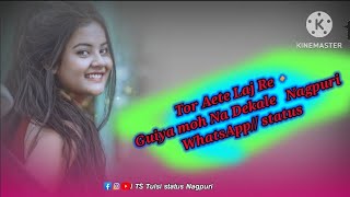 Tor Aete Laj Re🔸Guiya moh Na Dekale 🥀 new Nagpuri💫 WhatsApp status video [upl. by Bui]