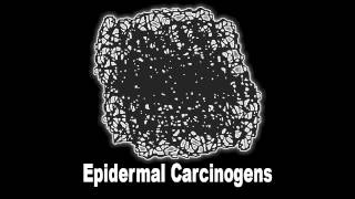 Melted Flesh Blastoma  Epidermal Carcinogens Track 18 [upl. by Maclay]