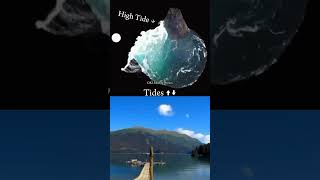 Physics High amp low Tides  Animation Explain shorts physics animation science viral tranding [upl. by Llerol504]