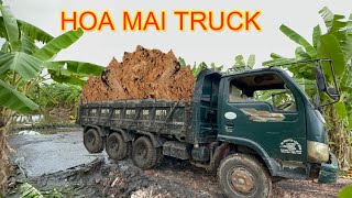 Xe ô tô tải Hoa mai chở đất đổ ben bốc đầu  máy xúc cần dài xúc bùn  Công nông chở đất  excavator [upl. by Sellers]