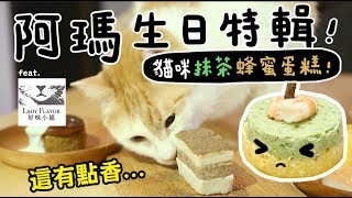 【黃阿瑪的後宮生活】阿瑪11歲生日特輯！貓吃的抹茶蜂蜜蛋糕？ft好味小姐 [upl. by Hittel]