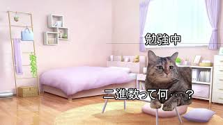 基本情報技術者試験４回目で受かった話【猫ミーム】 [upl. by Aiynat]