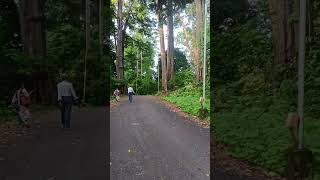 Havelock Island 🏝️ Please subscribe🙏travel andamanandnicobarislands havlock subscribe [upl. by Suoirad]