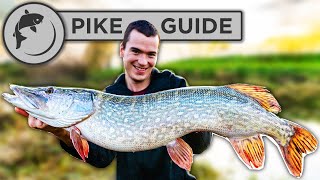 A Beginners Guide To Pike Fishing  Tactics Bait Lures Rigs and Unhooking [upl. by Henson]