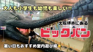 【大阪の堺市にあるビックバン】6人家族で大満喫⭐️迫力満点巨大ワニの遊具🐊昭和30年代にタイムスリップできちゃう町👘大人も子供も楽しい室内遊び場🛝 [upl. by Eelac218]