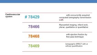 CPT CODING GUIDELINES FOR RADIOLOGY PART 9B [upl. by Trebleda519]