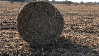 Why Do Farmers Bale Corn Stalks [upl. by Yornek543]