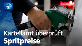 Kartellamt überprüft Spritpreise [upl. by Ahsenat]