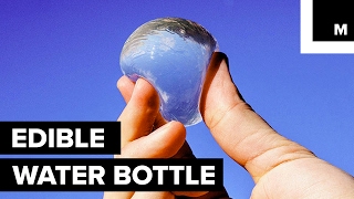 Scientists have created edible water [upl. by Heigho]