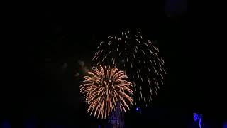 Walt Disney World Vlog  Day 6 Part 2  Fireworks Dessert Party [upl. by Gates]