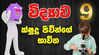 Grade 9 Science 1st lesson  ක්ෂුද්‍ර ජීවීන්ගේ භාවිත  Uses of Microorganisms 9 වසර විද්‍යාව 1 පාඩම [upl. by Lammond]