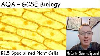 B15  Specialised Plant Cells  AQA Biology GCSE 91 [upl. by Dlanger]