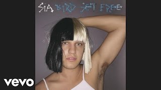 Sia  Bird Set Free Audio [upl. by Ettinger]