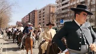 Cabalgata en Córdoba por el día de Andalucía 2022 España  Desfile de caballistas [upl. by Baggott]