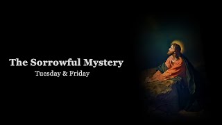 The Holy Rosary Sorrowful Mysteries with Litany Tuesday amp Friday [upl. by Nywles734]