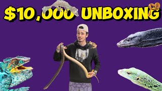 Unreal 10000 Reptile Unboxing [upl. by Nosretep]