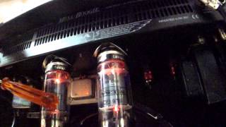 Microphonic Vacuum Tubes [upl. by Nosimaj]