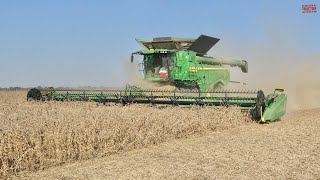 50ft JOHN DEERE HD50R Draper Harvesting Soybeans [upl. by Ronald]