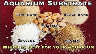 Which Substrate best for your Aquarium  Tamil [upl. by Snah]