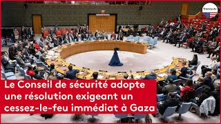 Le Conseil de sécurité adopte une résolution exigeant un cessez le feu immédiat à Gaza [upl. by Teresa988]