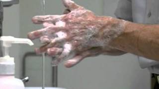 Correct Handwashing Technique [upl. by Lehteb]