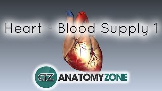 Blood supply to the heart  PART 1  Anatomy Tutorial [upl. by Walls]