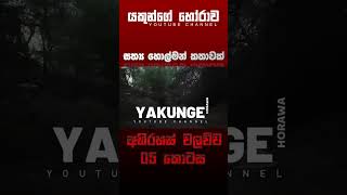 අභිරහස් වලව්ව 05 කොටස  sinhala holman katha sinhalaholmankatha horrortok viral foryou [upl. by Ymmik246]