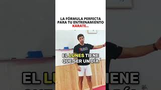 Entrenamiento Físico para el Karate👉 Enlace en el Perfil [upl. by Janenna290]