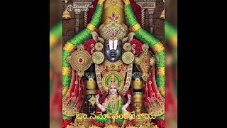 Sri Venkateswara Swamy songs ఓం నమో వేంకటేశాయ [upl. by Roseanna]